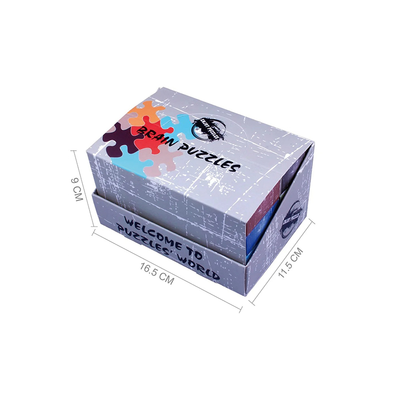 پازل Rail Glide Metallic Cognition Challenger